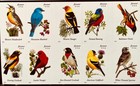2014 Songbird Stamp Booklet  100 Permanent Stamps Creative Stamp Collectibles