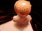  Antique Carl Thieme  Dresden Porcelain Bust  Beautiful  