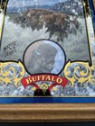 Coors Beer Buffalo Nature Series Wildlife Bar Mirror No  4 In Series