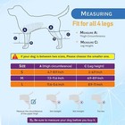 Dog Knee Brace For Torn Acl Hind Leg For Support With Cruciate Ligament Injury  