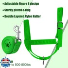 Hillban Cow Halter Cattle Halters Adjustable Calf Halter With Leading Rope Fo   