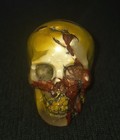 Skullis 2 0  Mookaite Jasper Hand Carved Crystal Skull  Realistic  