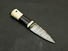 8 Inches Celtic Scottish Dirk Sgian Dubh Dagger Bone Handle Knife Scotland