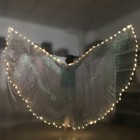 Led Isis Wings Belly Dance Cosplay Glow Show Light Up Costume Festival Wing Wear