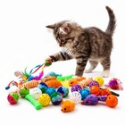 Interactive Catnip Toy Variety Pack - 30 Crinkle Balls  Pom Poms  Springs   Mice