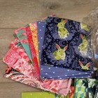 Freespirit Tula Pink - Paws Out Quilt Kit