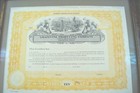 Vtg  10 Stock Certificate Framed Grapevine Tex Producing Company Framed 14x7 Art