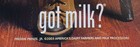 F1  2003 Freddie Prinze Jr    got Milk   Vintage Magazine Print Ad Campaign