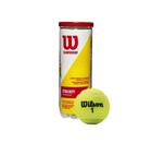 New   Sealed Wilson Championship Extra Duty Tennis Balls 20 Cans 60 Balls