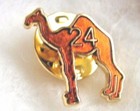Alcoholics Anonymous Camel Aa Lapel Hat Vest Pin Na 24 Hour Sobriety Sober 