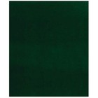 6  X 8  Green Artificial Grass Rug Indoor Outdoor Floor Patio Deck Golf Carpet