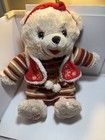 Walmart Teddy Bear Snowflake Teddy Girl 2010 Dan Dee Brown Bear Beige