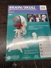 Skilcraft Brain Skull Model Kit Sealed Anatomical Anatomy Science Kit