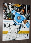 Marc-andre Fleury Signed 16x20 Winter Classic Waving Terrible Towel Fanatics