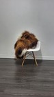 Beautiful  Icelandic Sheepskin Rug   Sheepskin Rug   Soft Silky Long Wool  c811