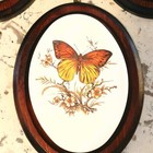 Vintage Butterfly Wall Plaques Set Of 3 Tile Wood Framed