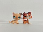 2pcs lot Littlest Pet Shop Toys Lps Cat Dog  886 1542 Kid Toy New