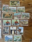 Wills   Churchman   s Cigarette Cards Lot  40 Vintage 1920-30s British Tobacco