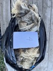 Raw Sheep Wool - Navajo Churro Sheep 6  Lbs Per Fleece - Free Shipping  