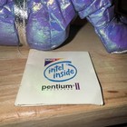 Vtg Intel Bunny People Pentium Ii Iridescent Purple Bean 8 Plush 90s 1997 W  Tag