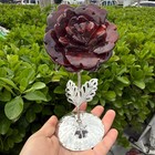 Natural Red Grain Stone Carved Quartz Crystal Flower Decor Heal Gift