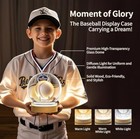 Baseball Display Case With Adjustable Led Lighting  360   Glass Design Baseball 