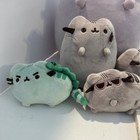 Pusheen Plush Lot Of 8 Book Pouch Cat Stuffed Keychain Gund Unicorn Rainbow