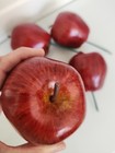 Set Of 6 Pieces Realistic Artificial Faux Fake Red Apples With Stems