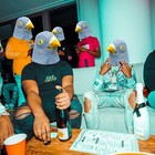 Creepyparty Pigeon Mask  Bird Costume For Halloween Party