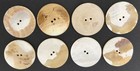 Lot Of 8 Large Antique  Vintage Mop  shell Buttons  4508