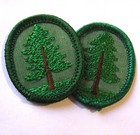 Vintage 1970-1974 Girl Scout Pine Tree Troop Crest Dendrology Forest Patch Badge