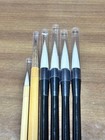 Set Of 6 Calligraphy Brushes With Protective Caps