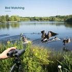 Svbony Sv202 8x32 Ed Roof Prism Binoculars Fmc Waterproof Bak4 Bird Whatching