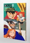 One Piece Magazine One Piece Fan Letter W  P-096 Nami Promo Card  new sealed 