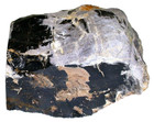 11 Pound 14 Oz Denio Nevada Silica Agate Wood Fossil Specimen Rough Cs334 121324