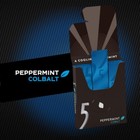 5 Gum Peppermint Cobalt Sugar Free Chewing Gum Bulk  15 Sticks  pack Of 10 