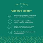 Oxbow Simple Rewards Apple Banana Treats Timothy Hay Guinea Pig   Bunny Treats