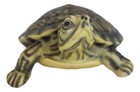 Lifelike Yellow Bellied Slider Turtle Tortoise Figurine 4 75 l Zen Feng Shui