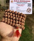 Lab Certified Rare 8 Mukhi Rudraksha Rudraksh Mala Rosary 108 1 Prayer Beads