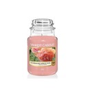 Yankee Candle Sun-drenched Apricot Rose W  Roses Metal Holder Gift Set