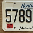 1998 Kentucky Nature s Finest Red Cardinal License Plate Tag  5789 Er 