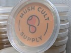 20x Mushroom Agar Plates - Sterile  Pre-poured  W  Extra Parafilm  Mea