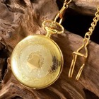 Antique Steampunk Vintage Roman Numerals Quartz Pocket Watch Multicolor Case Nec