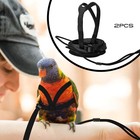 2 Pcs Pet Parrot Bird Harness And Leash  Adjustable Training Design Xl  Black