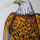 Vintage Case Tractors Sign - Bald Eagle Porcelain Service Station Store Gas Sign