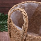 Seagrass Braided Basket Seagrass Belly Basket Woven Storage Basket