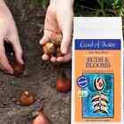 Coast Of Maine 5-13-0 Fish Bone Meal Organic Plant Food For Buds   Blooms  3lbs