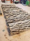 20 Pcs 6  Inch Cholla Wood Cactus   Organic  Untreated   Shrimp Aquarium Crafts 