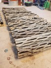 25 Pcs 6  Inch Cholla Wood Cactus   Organic  Untreated   Shrimp Aquarium Crafts 