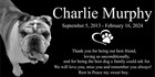 Custom Stone Memorial Grave Marker Granite Plaque Human Headstone Dog Cat